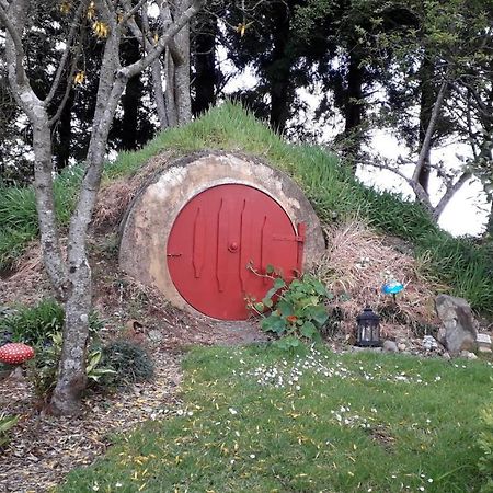 Kaimai Sunset Bed & Breakfast マタマタ エクステリア 写真