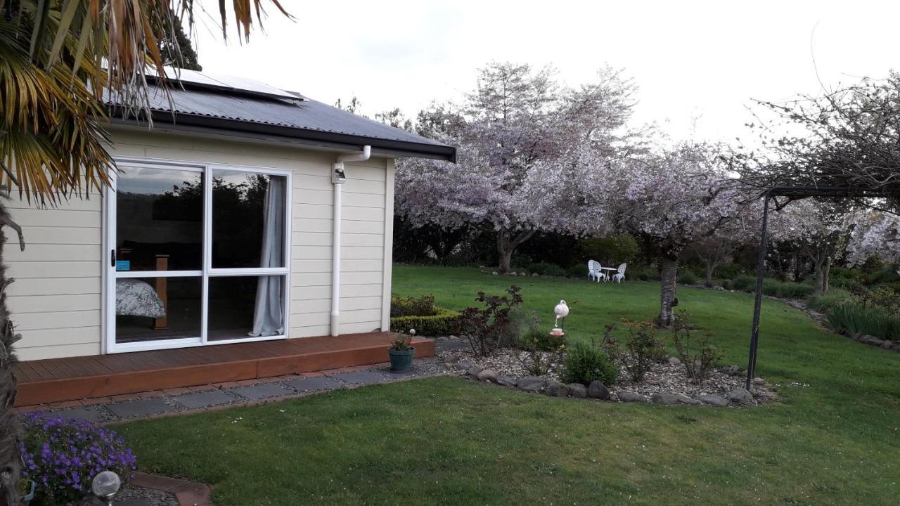 Kaimai Sunset Bed & Breakfast マタマタ エクステリア 写真